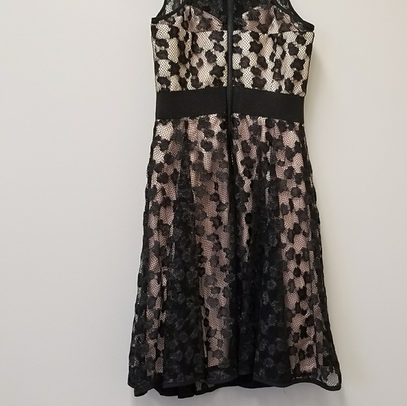 Milly Women's Dress Lace-overlay Sweetheart Dress - Picture 4 of 8